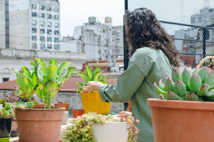 nettoyer les plantes sur le balcon