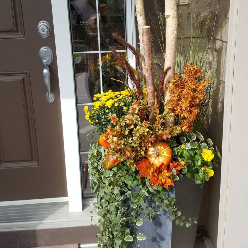 planter une jardinière selon la méthode de Joanna Gaines pour l'automne