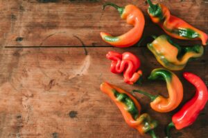 poivrons déformés-quelles sont les raisons pour cette anbomalie de vos récoltes