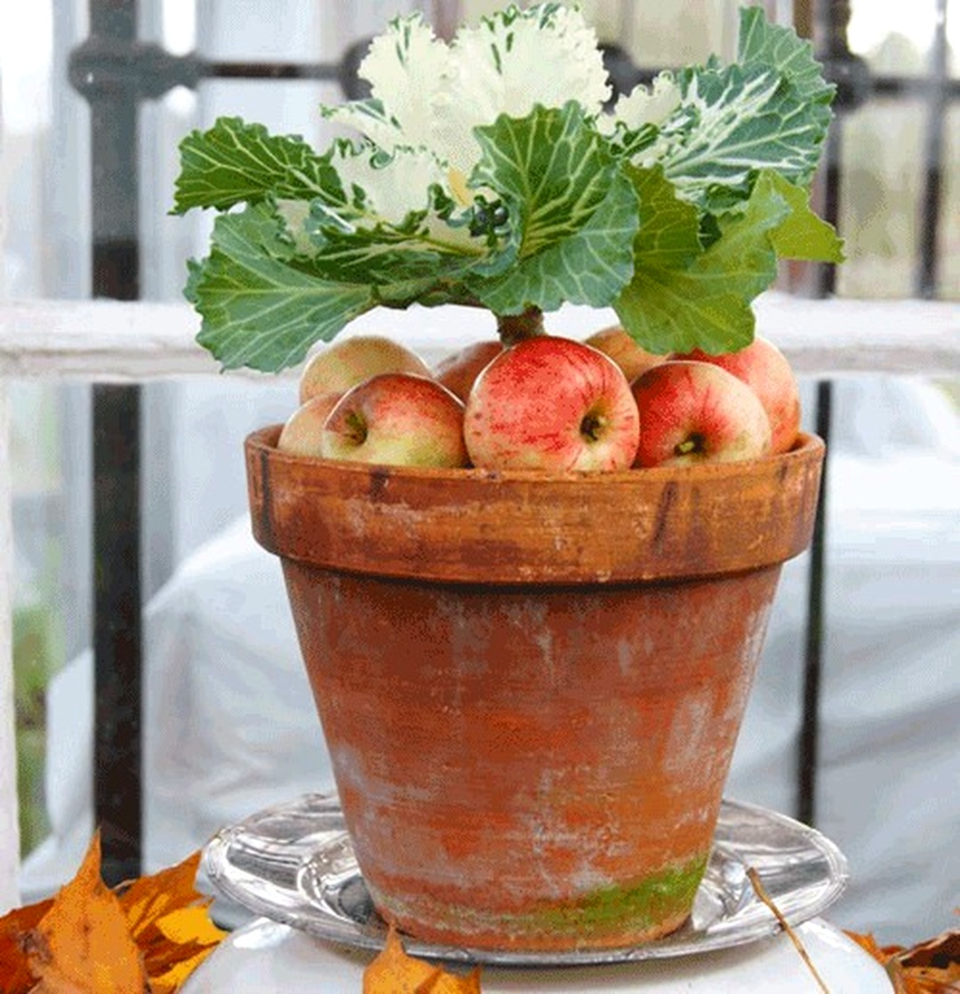 pot en terre cuite aménagé avec du chou d'ornement et pommes en tant que composition d'automne originale