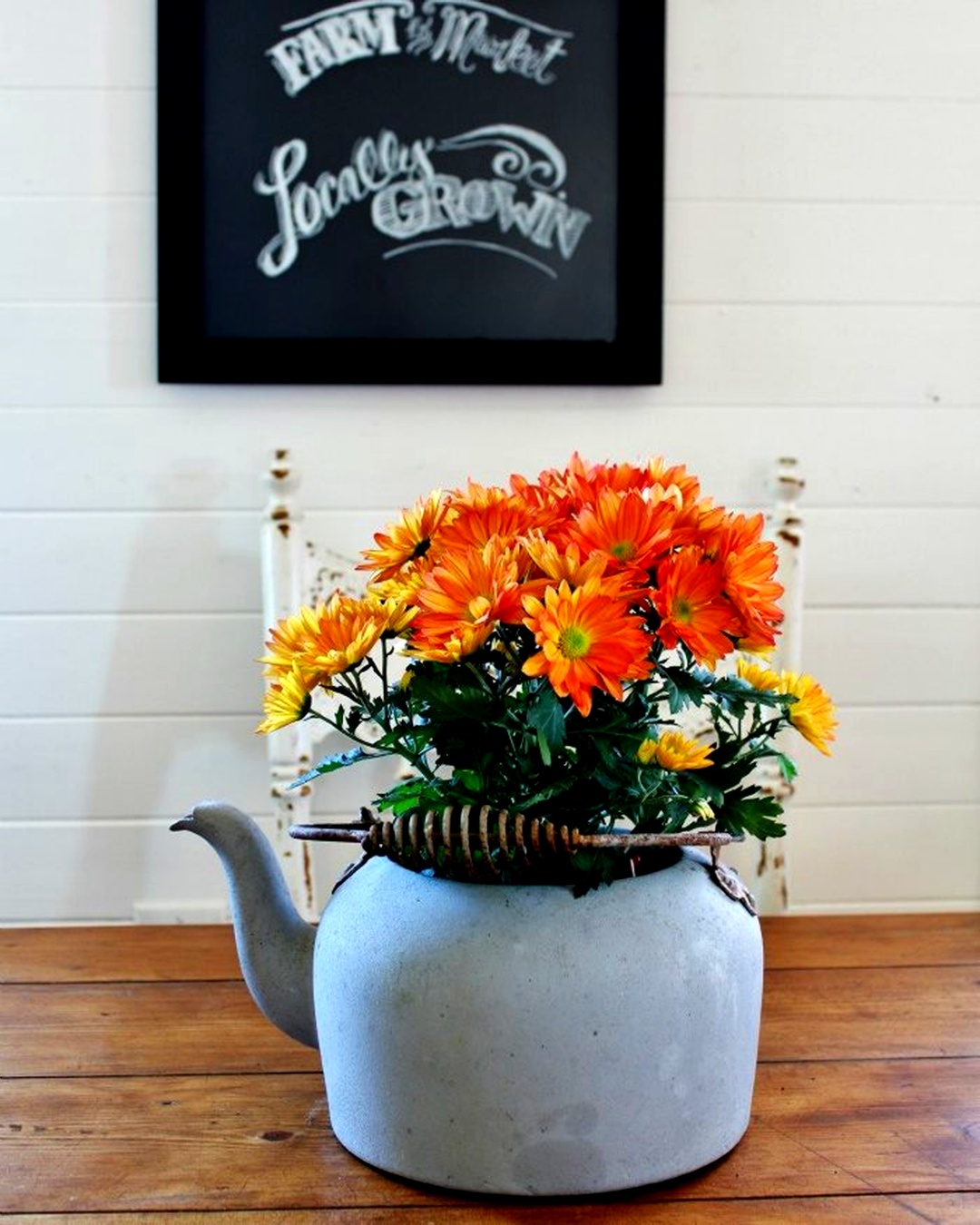 réutiliser la vieille théière en tant que pot pour planter des chrysanthèmes cet automne