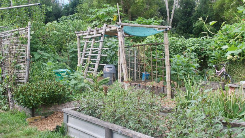 structure en bois pour faire de l'ombre au potager