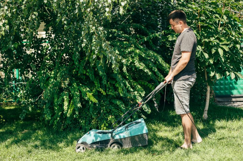 tondre la pelouse à la fin de l'été
