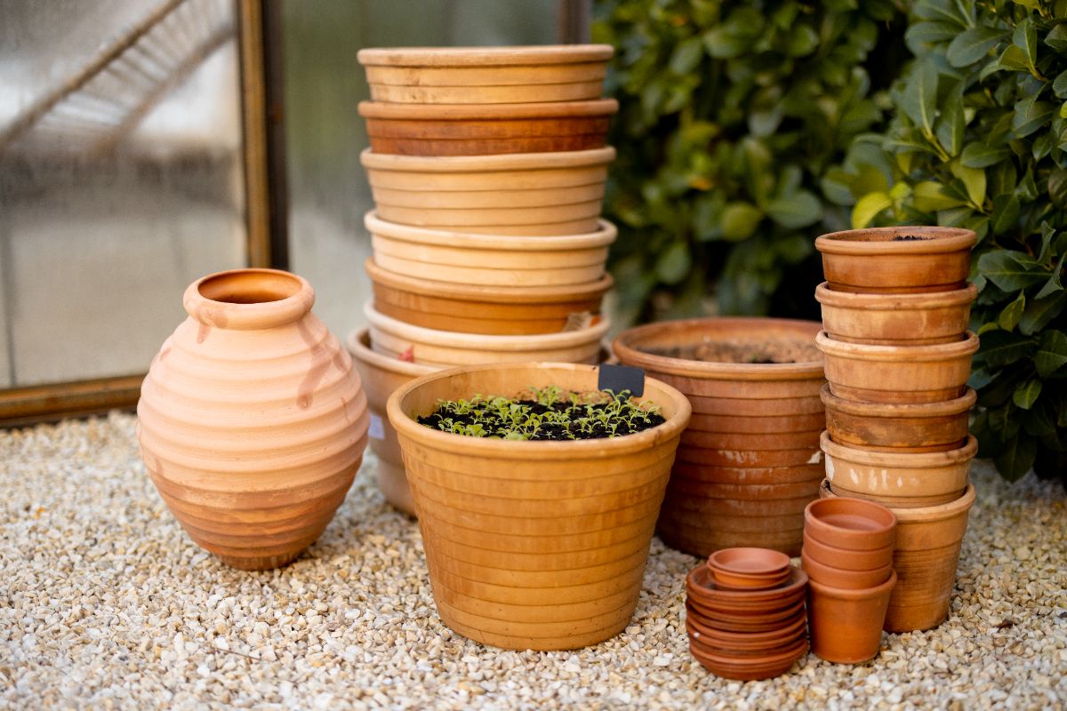 upcycling et jardinage-comment réutiliser les pots à fleurs et leur donner une nouvelle vie