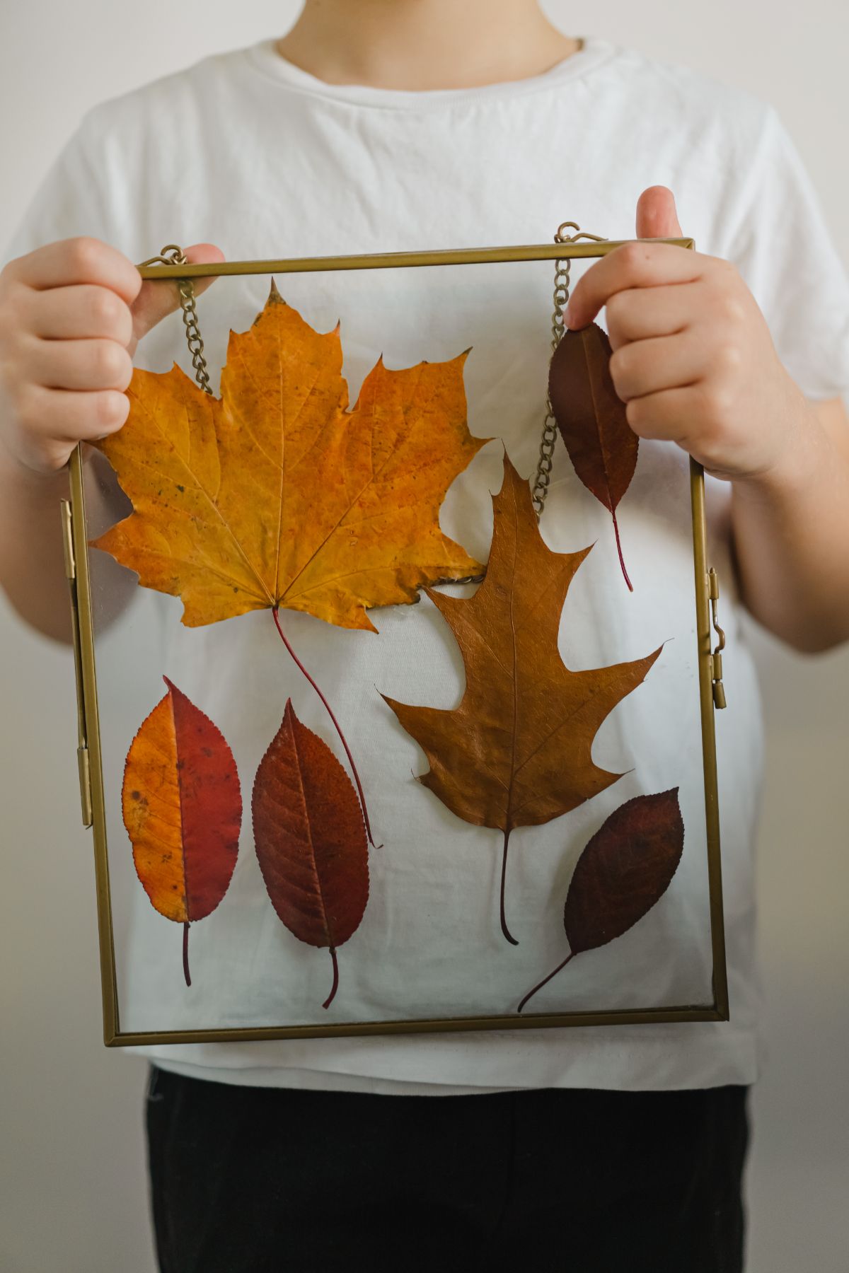 DIY automne avec des feuilles d'arbre jaunes et cadre photo transparent