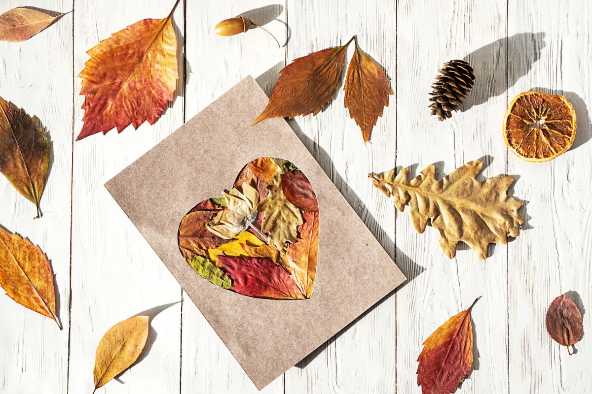 Les meilleures feuilles à récolter pour créer des projets automne DIY