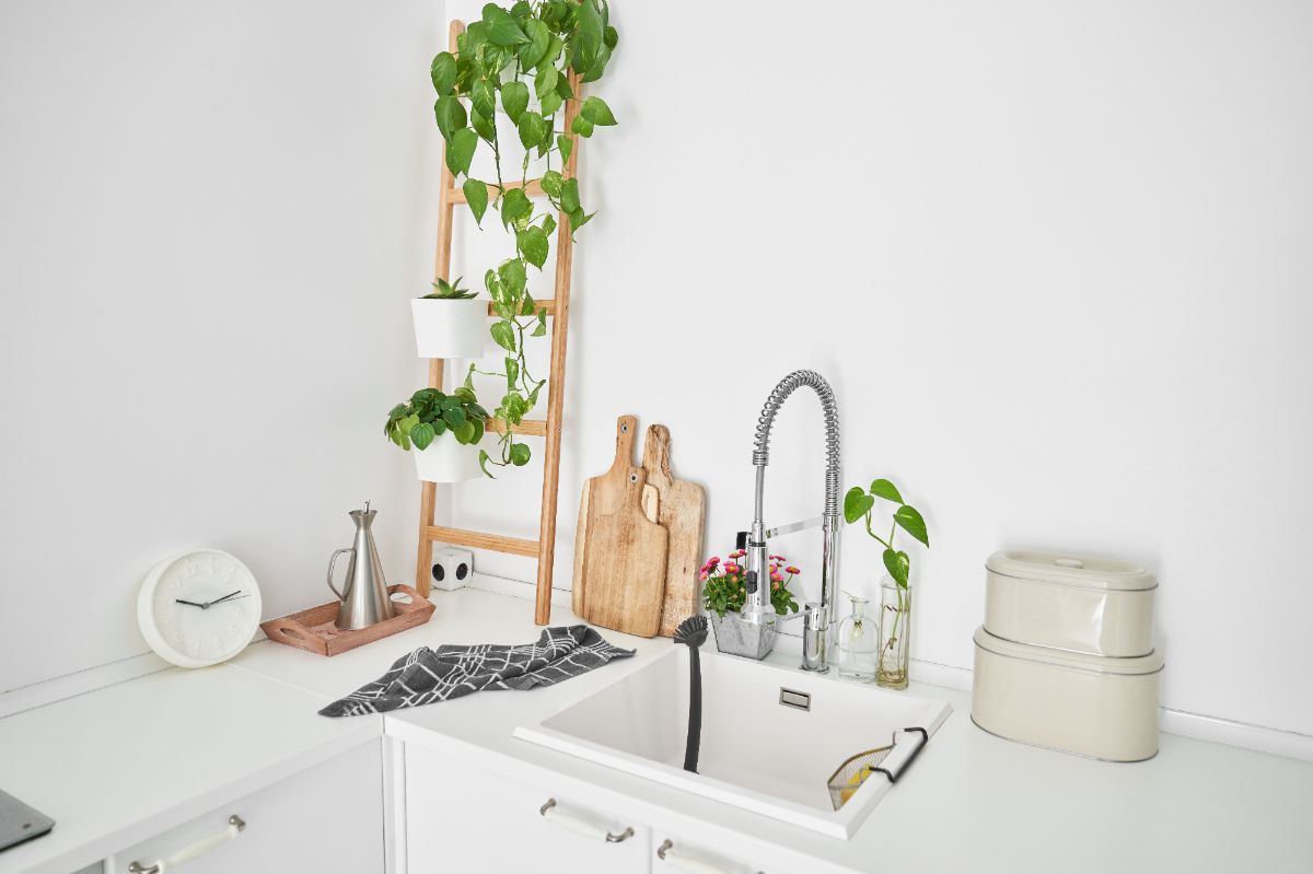 Pourquoi choisir un robinet avec douchette extractible dans sa cuisine