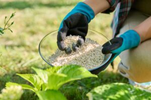 arrêter-de-fertiliser-les-annuelles