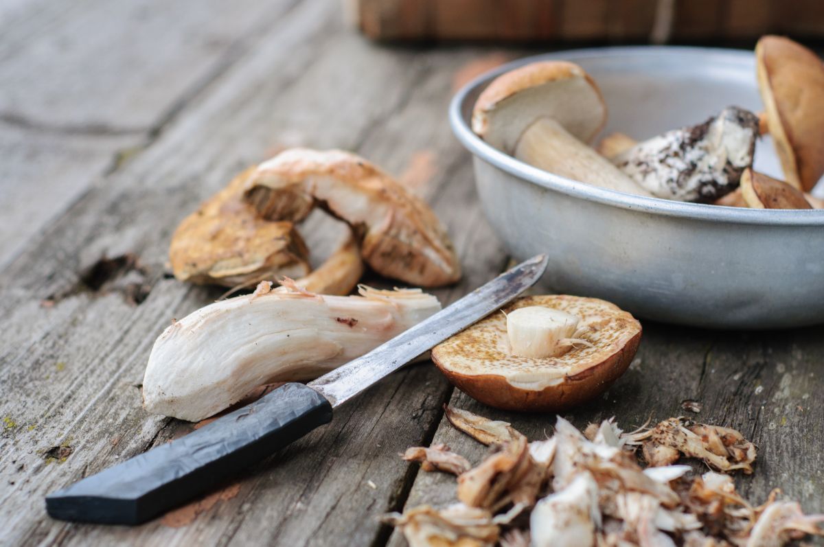 astuces de chef pour utiliser les pieds de champignons en cuisine
