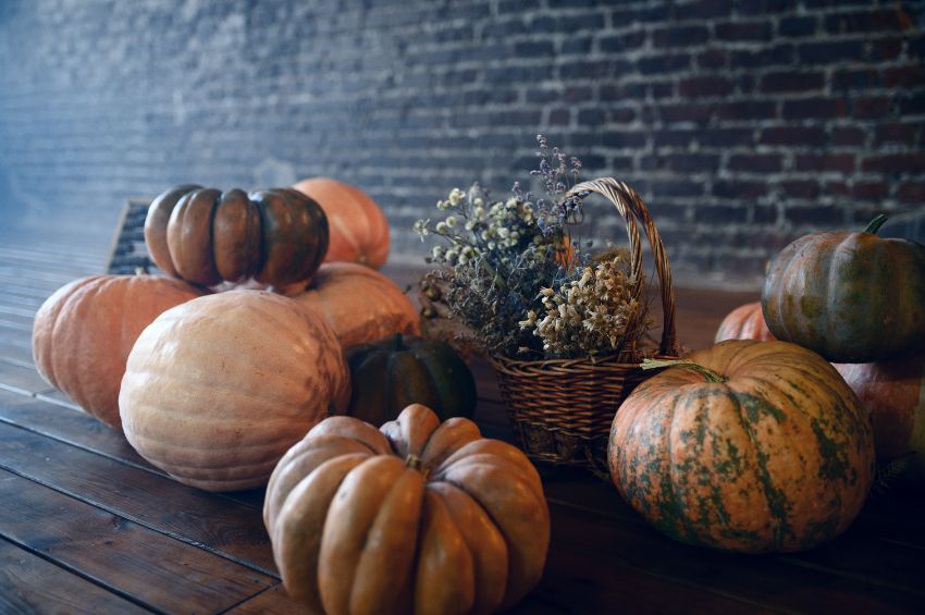 astuces pour que les citrouilles durent 2 ou 3 mois