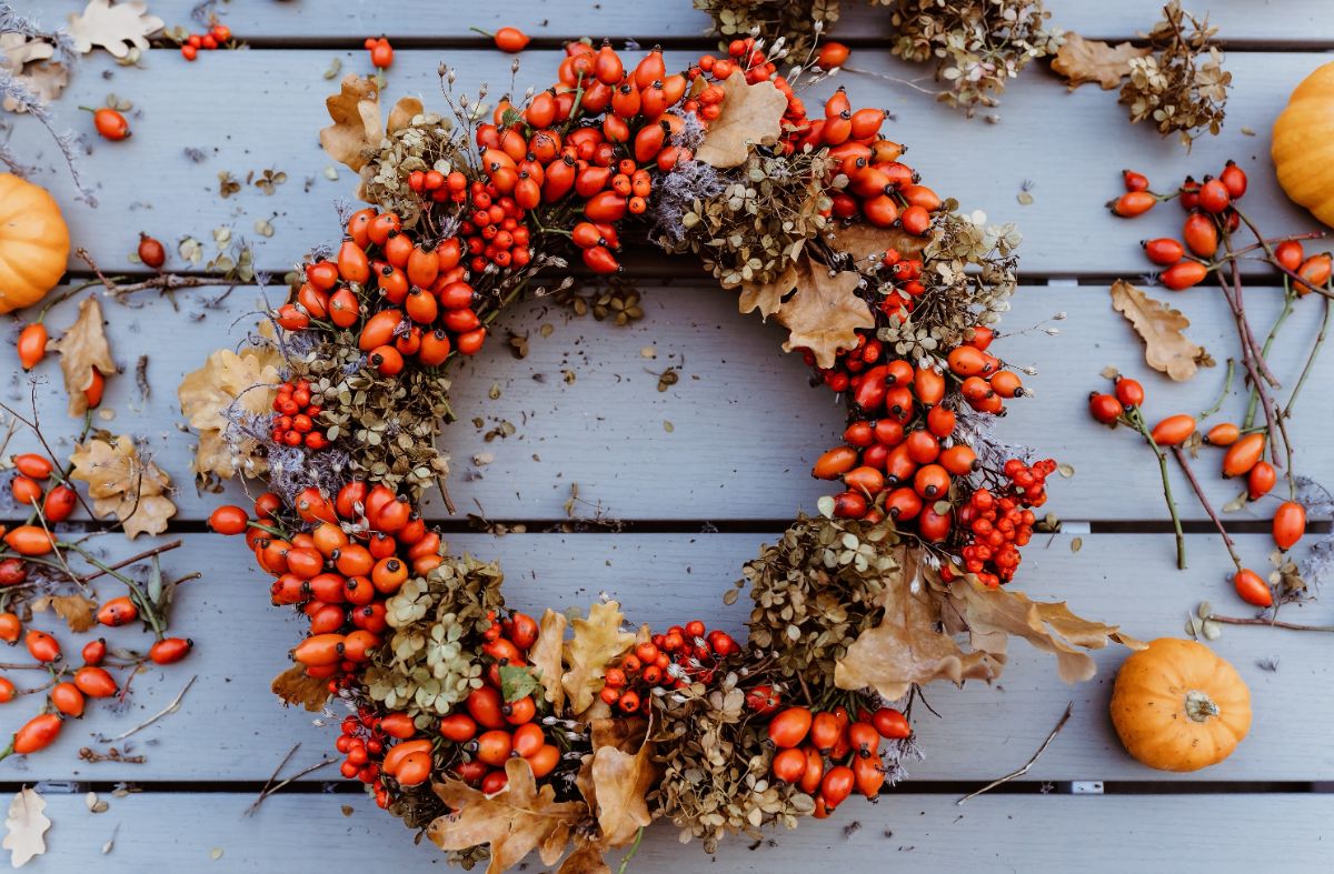 couronne automnale de baies de pyracantha à faire soi-même pour décorer la porte entrée
