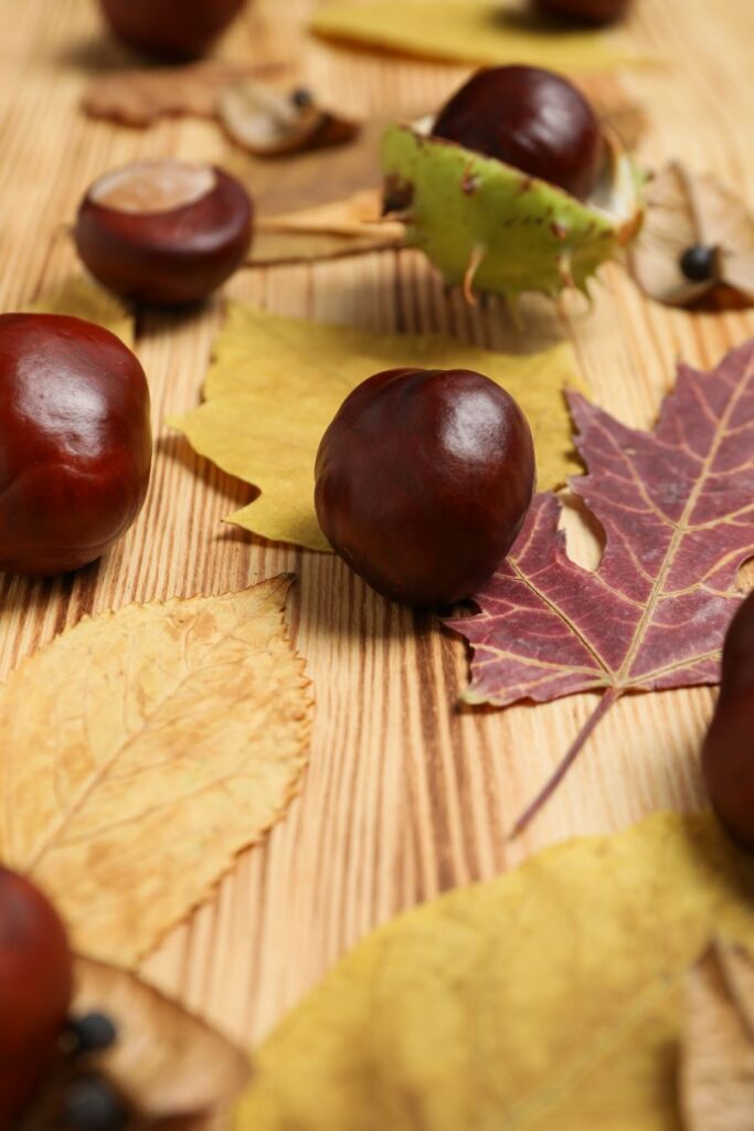 créer des mini citrouilles d'Halloween avec des marrons