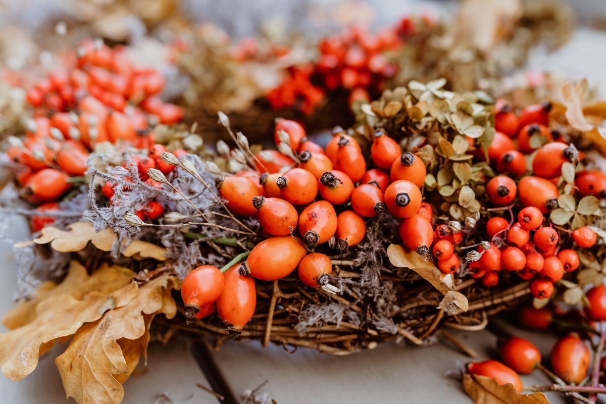 faire une couronne automne naturelle originale avec des feuilles sèches et baies églantier