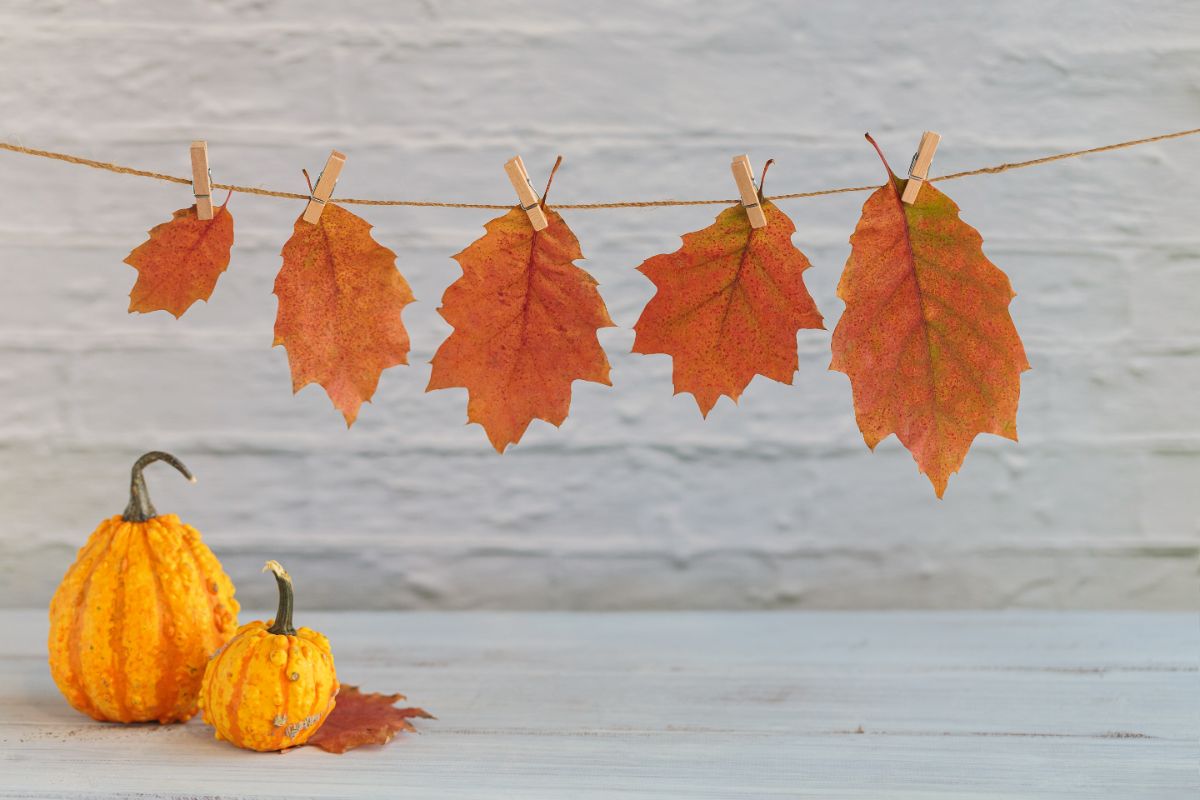 guirlande automne à faire avec des feuilles d'arbres en tant que décoration