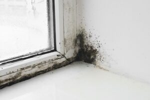 infiltration d'eau ou condensation