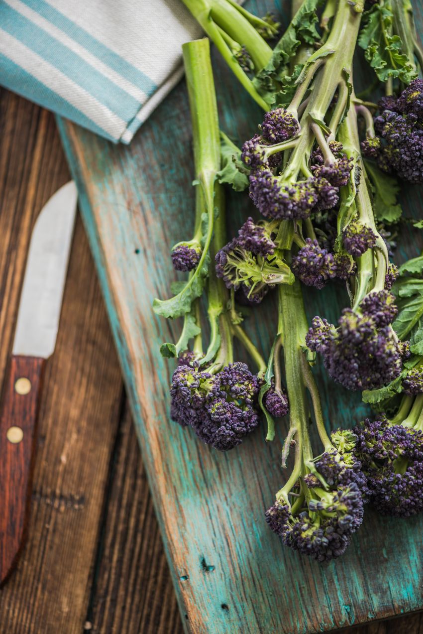 les différentes variétés de brocoli violet