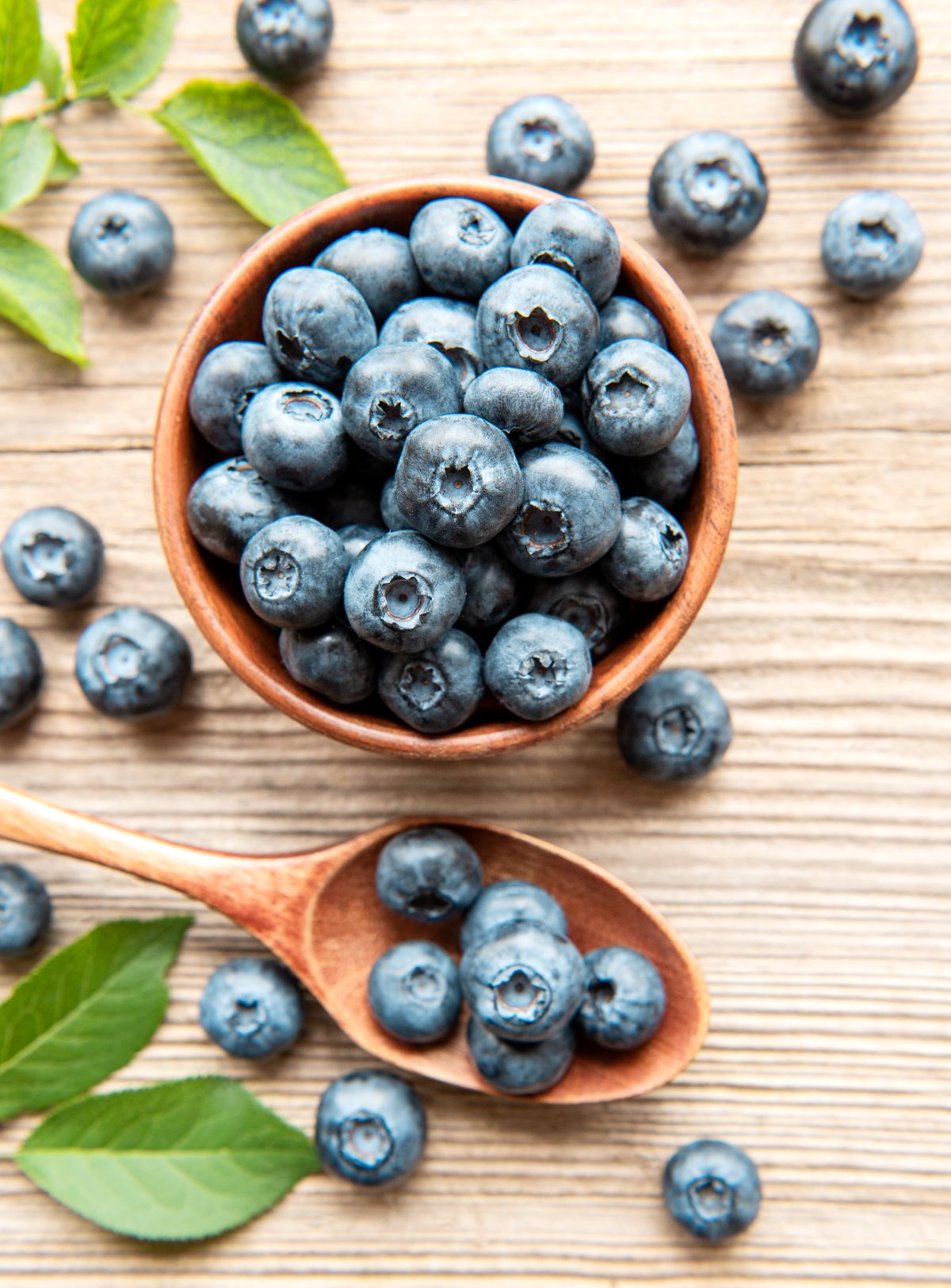 les myrtilles sont le fruit qui améliore la sensibilité à l’insuline