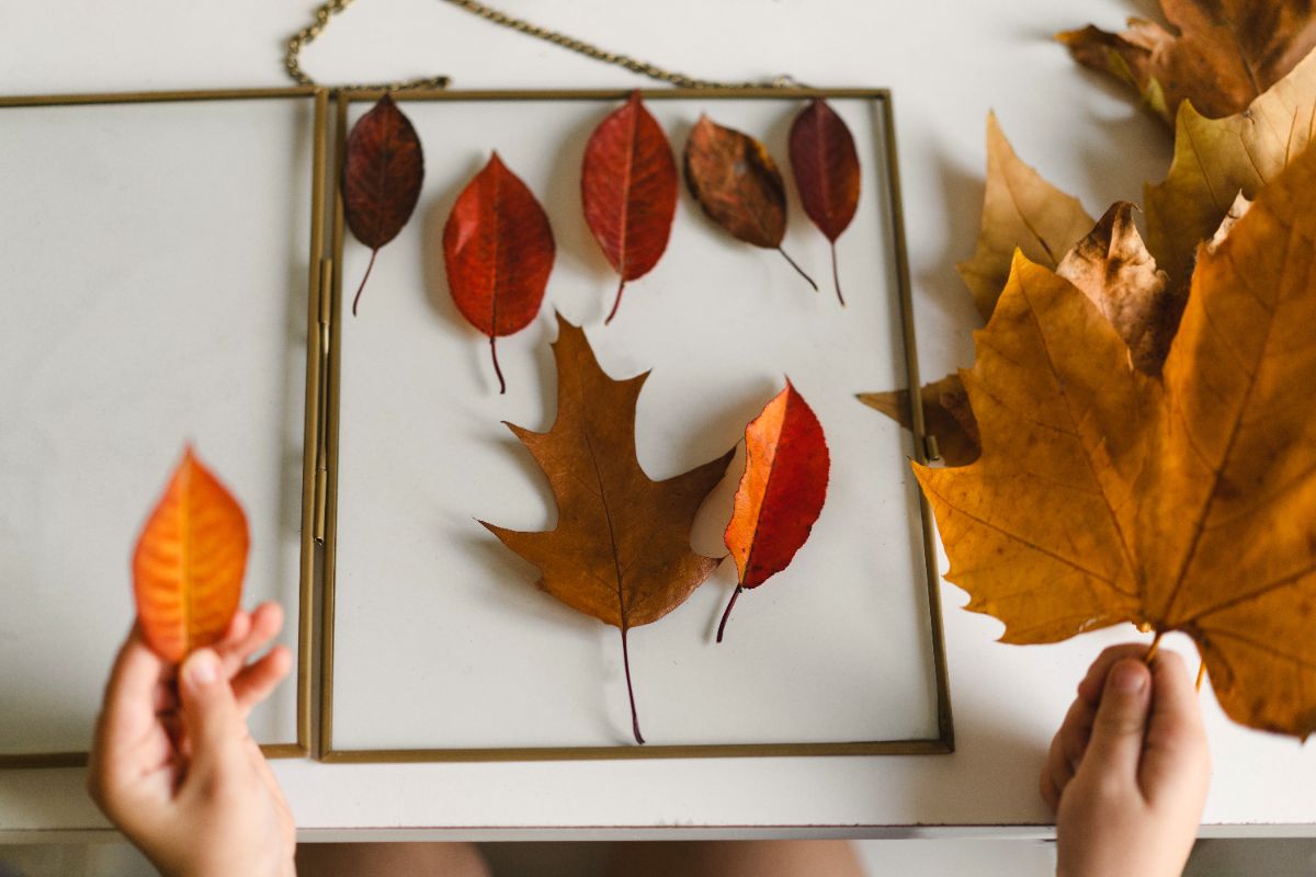 mobile d'automne à faire soi-même avec des feuilles d'arbre