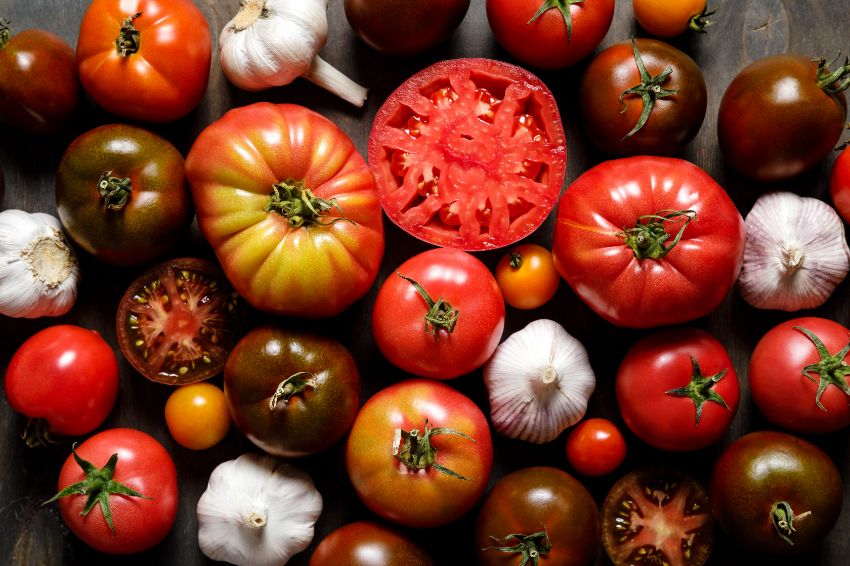 pourquoi garder des graines de tomates