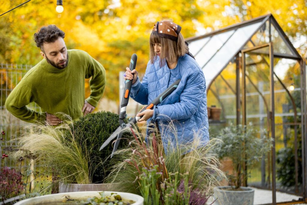 3 travaux au jardin en octobre indispensables