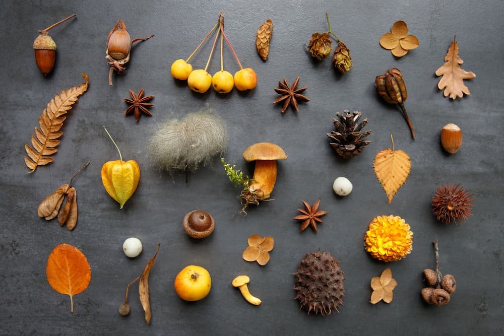 activités cocooning maison avec des matériaux naturels d'automne