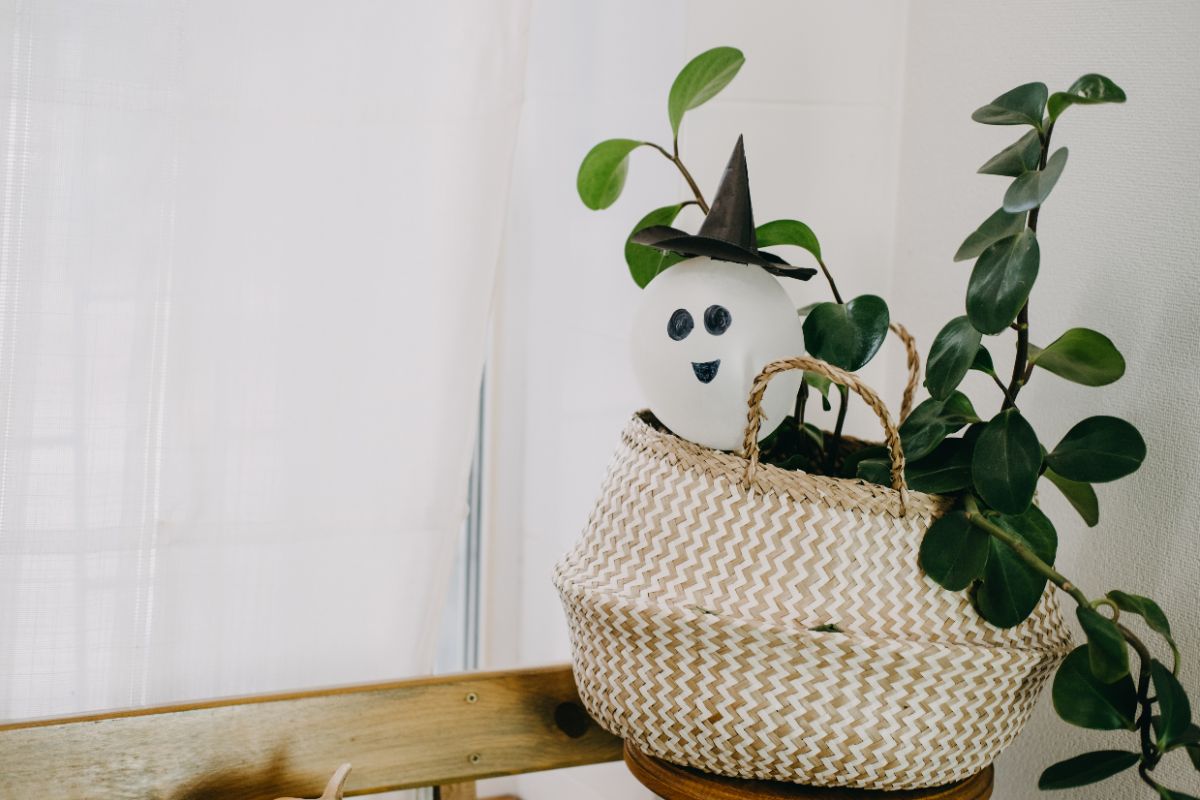 ballon de baudruche détourné en fantôme décoratif pour le pot de fleurs