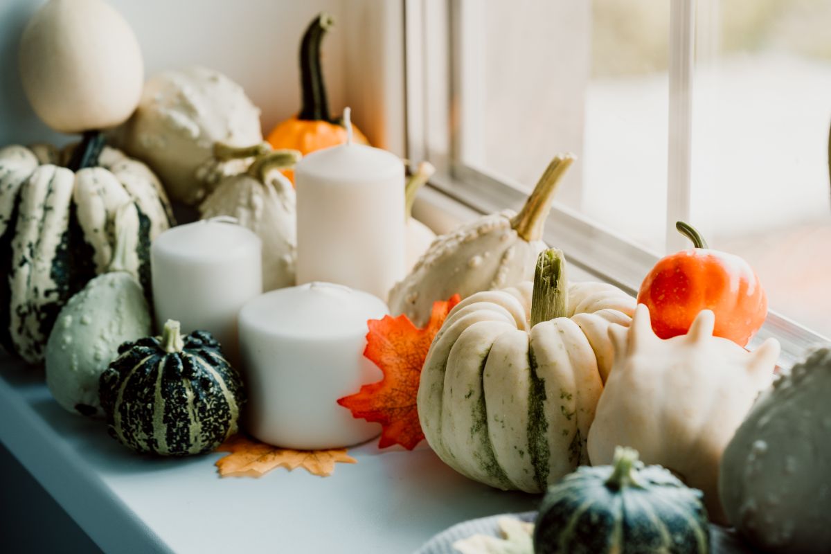comment décorer le rebord de fenêtre cet automne avec des citrouilles