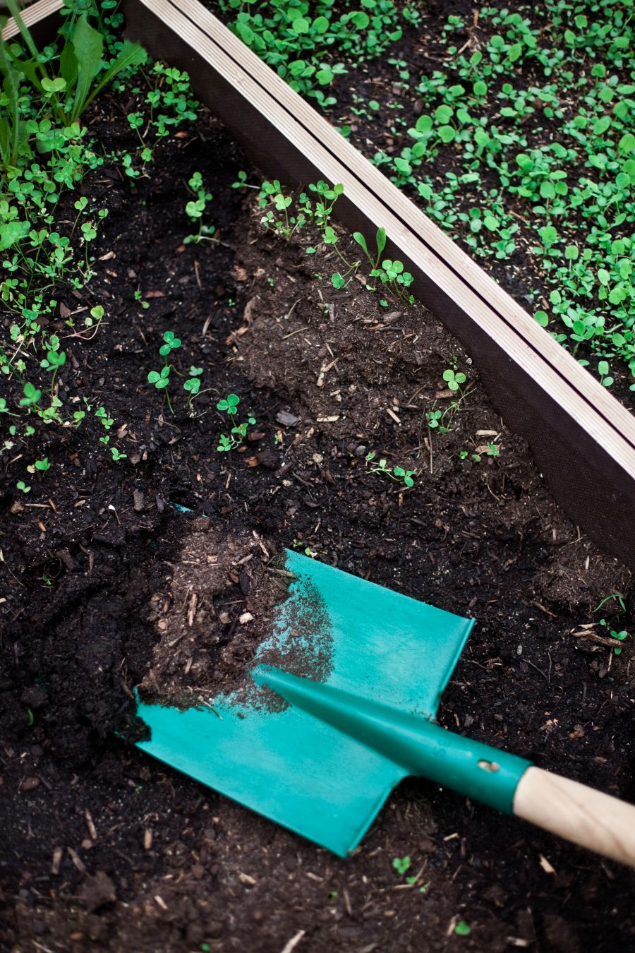 comment préserver la fertilité d'un bac à potager surélevé