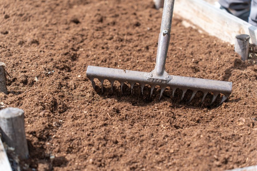 conseils pour bac à potager surélevé