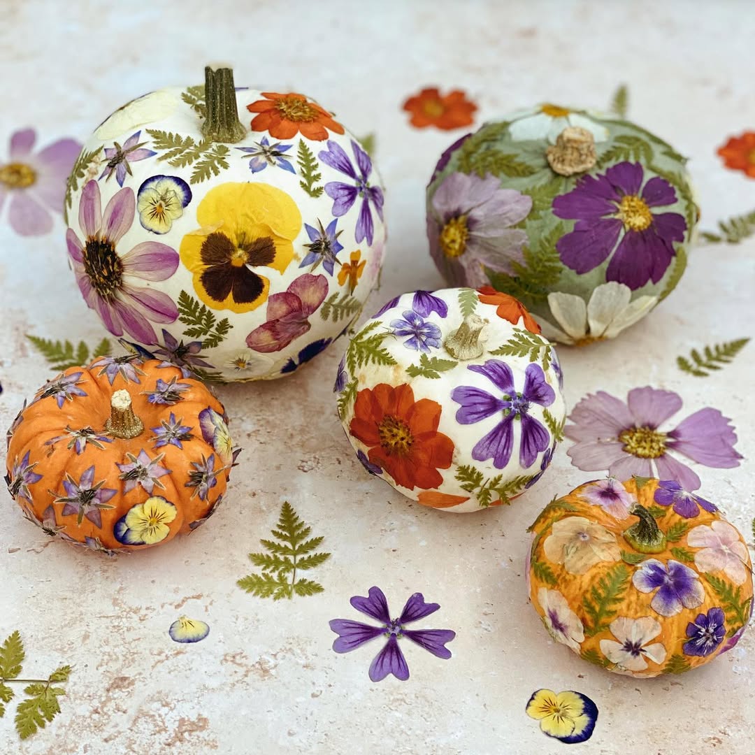 déco automne botanique avec des citrouilles décorées de fleurs pressées