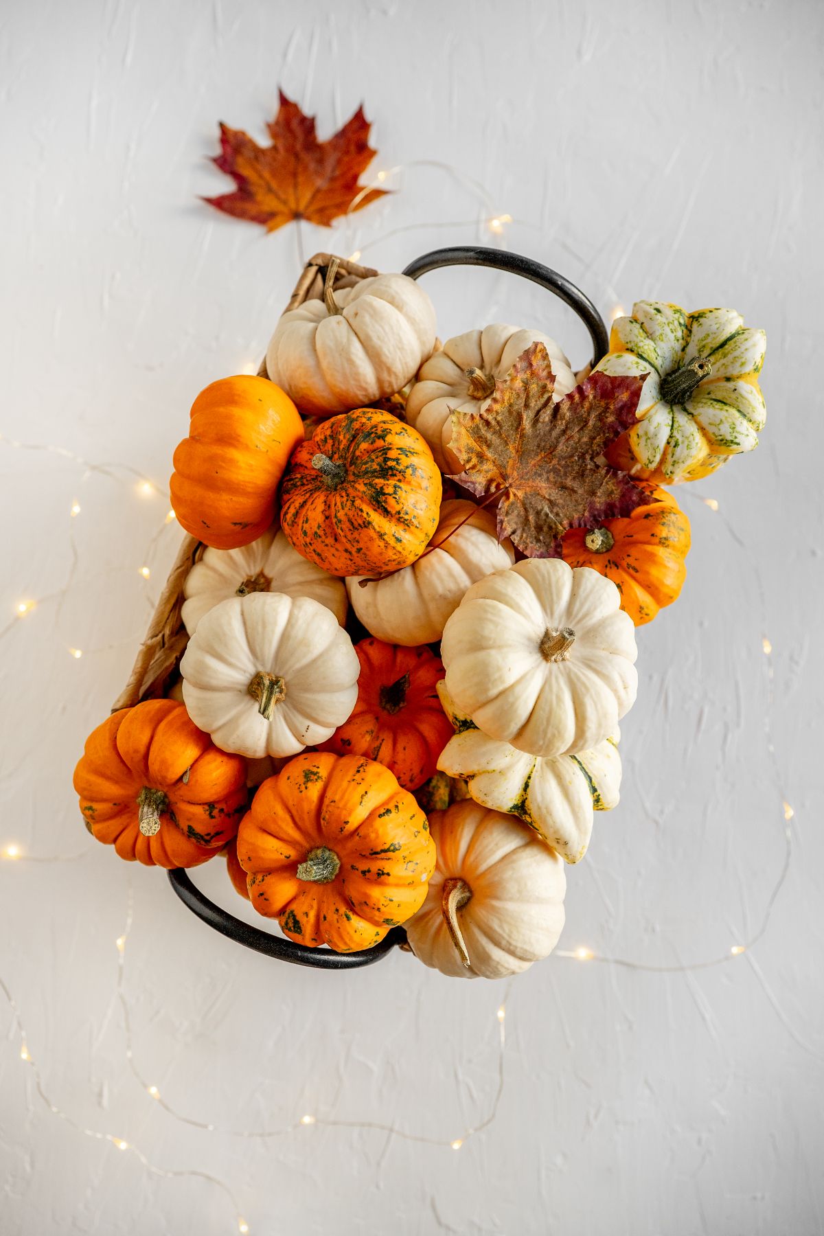 décoration automne élégante et originale avec des mini citrouilles et guirlandes lumineuses