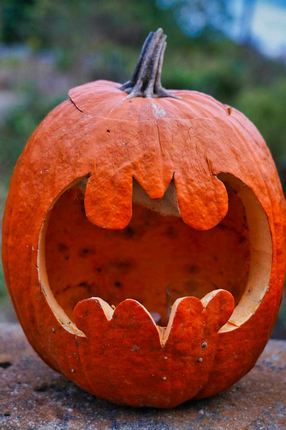 décoration citrouille Halloween enfants carving chauve-souris
