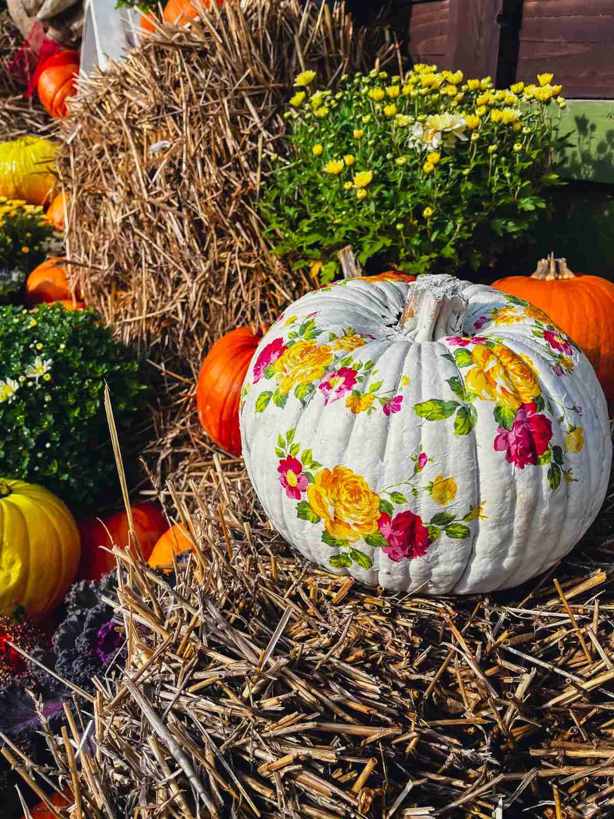 découpage floral sur une citrouille peinte blanche en tant que déco automne extérieure
