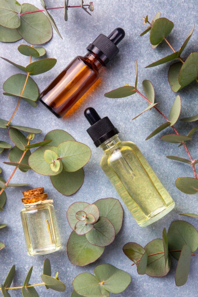 inhalation eucalyptus contre le coup de froid