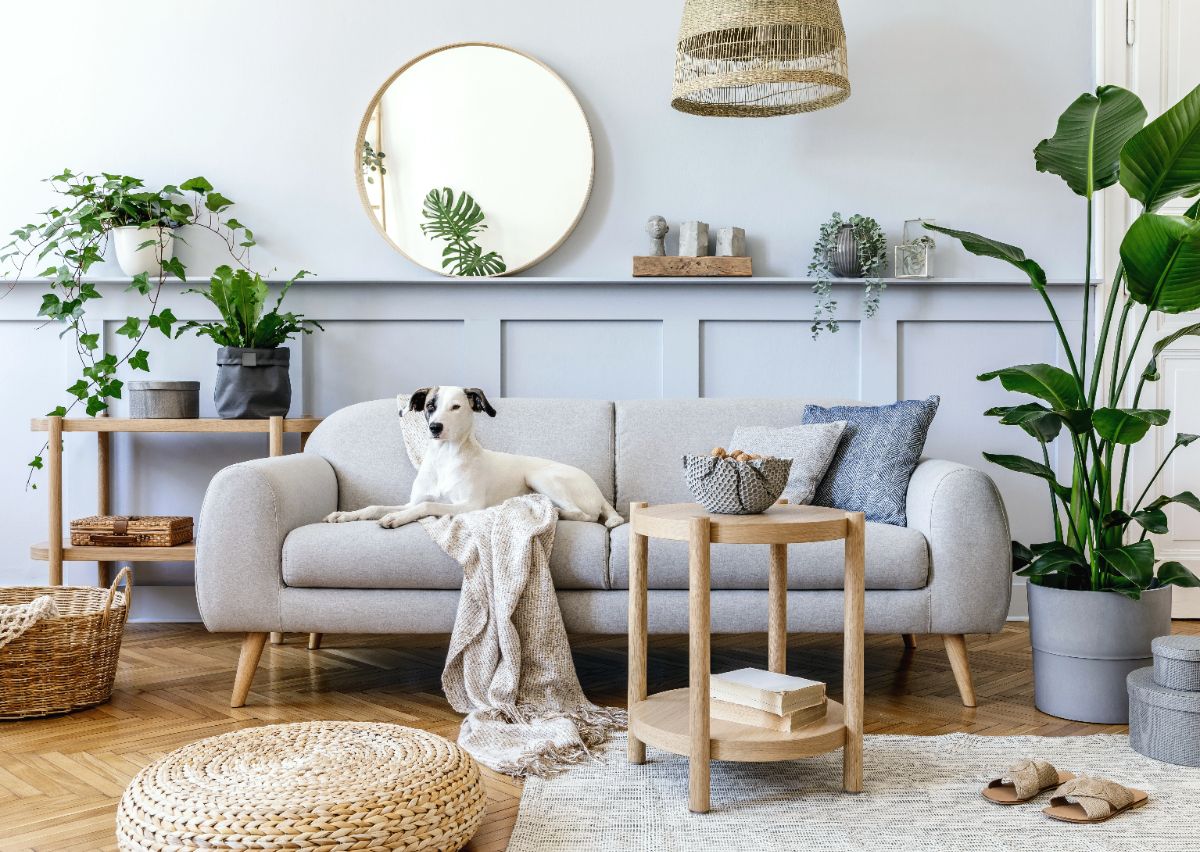 le canapé scandinave gris-une valeur sûre dans l'intérieur contemporain