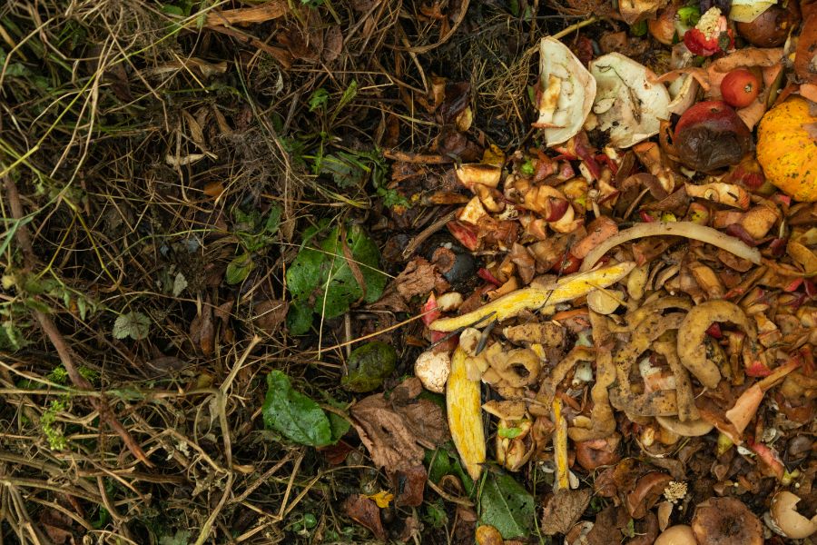 les bienfaits de la permaculture au potager et au jardin