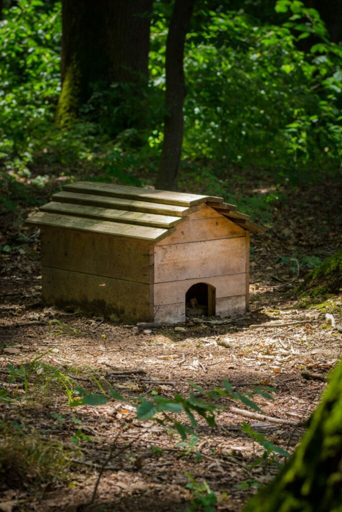 les solutions ecolos pour fabriquer un abri d'hérisson
