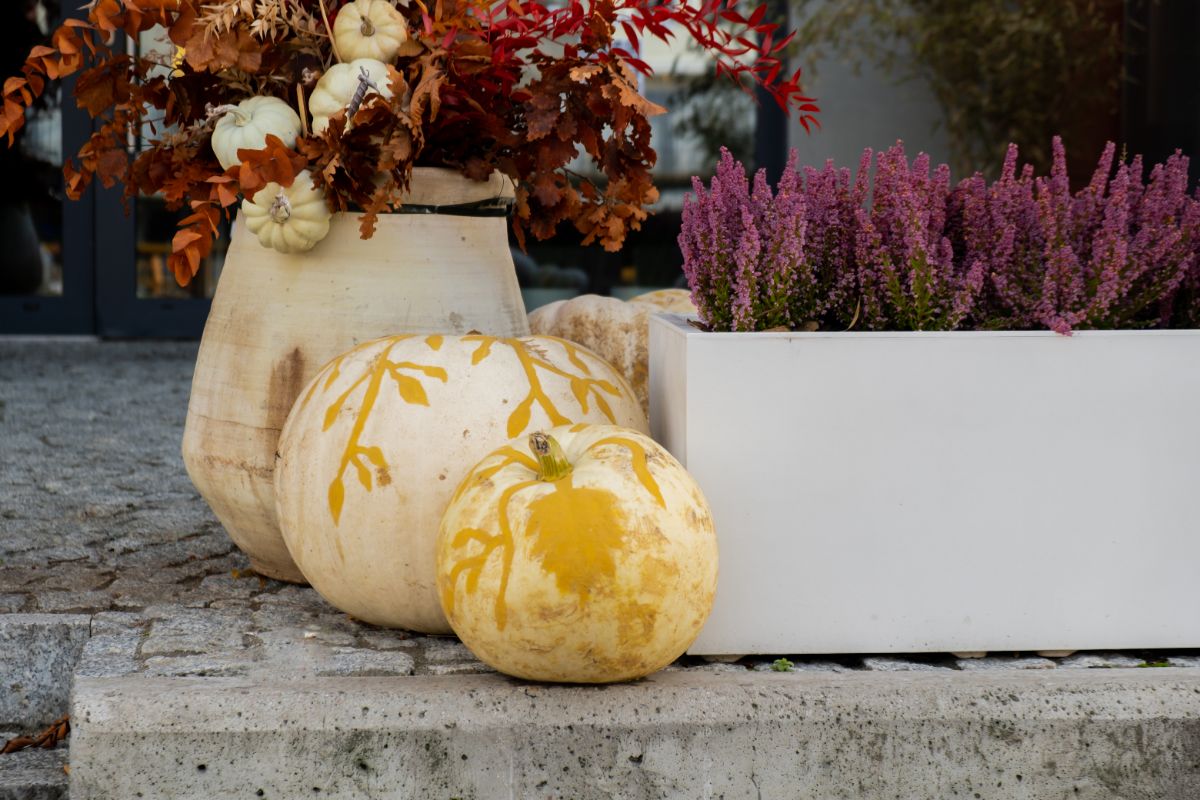 peindre des motifs floraux sur une citrouille blanche en tant que décoration automnale botanique