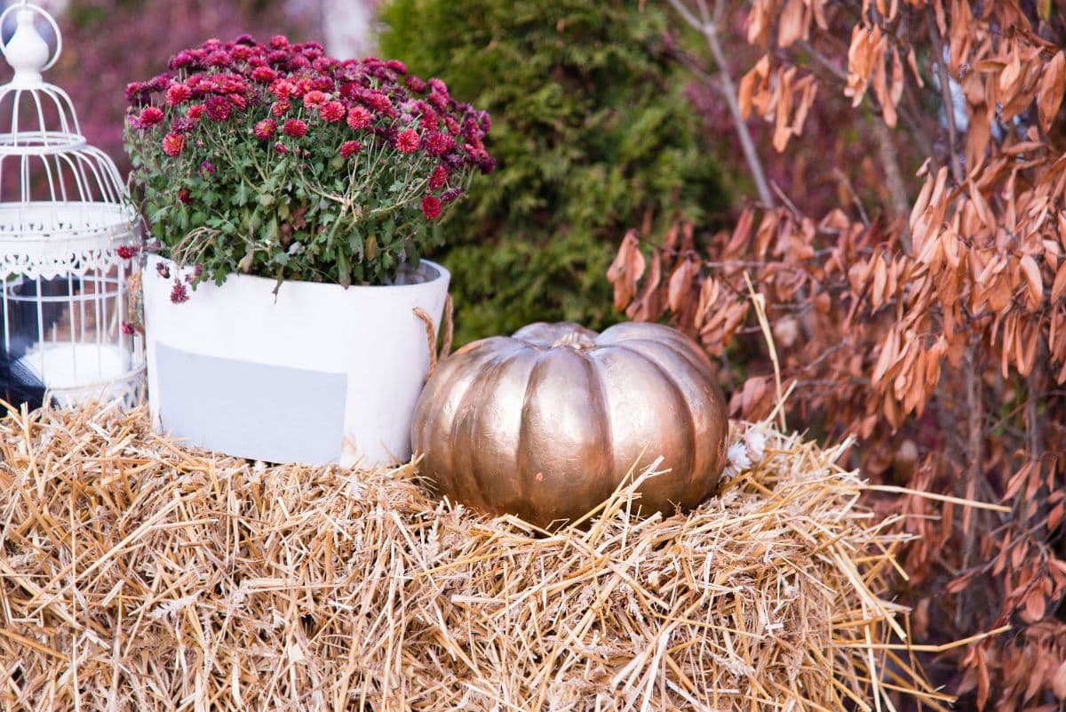 peindre une citrouille en couleur cuivre pour créer une déco automne chic et raffinée
