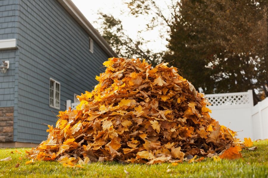pile de feuilles mortes pour les ramasser