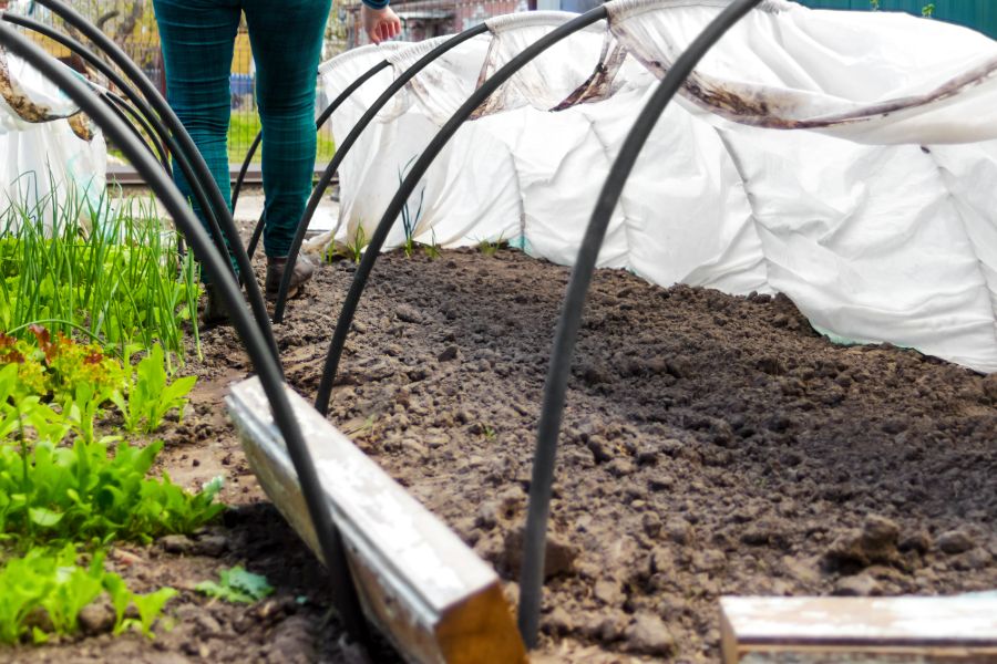 prenez soin du potager en octobre avec des châssis