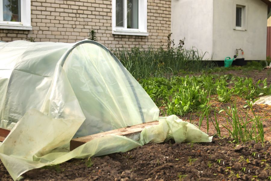 protéger les légumes du gel avec un voile