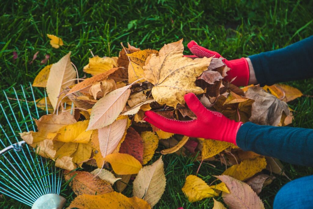 quelles sont les bonnes astuces pour ramasser les feuilles mortes