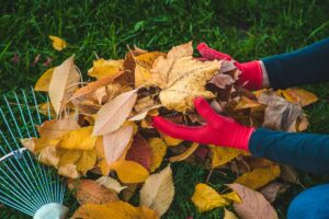 quelles sont les bonnes astuces pour ramasser les feuilles mortes