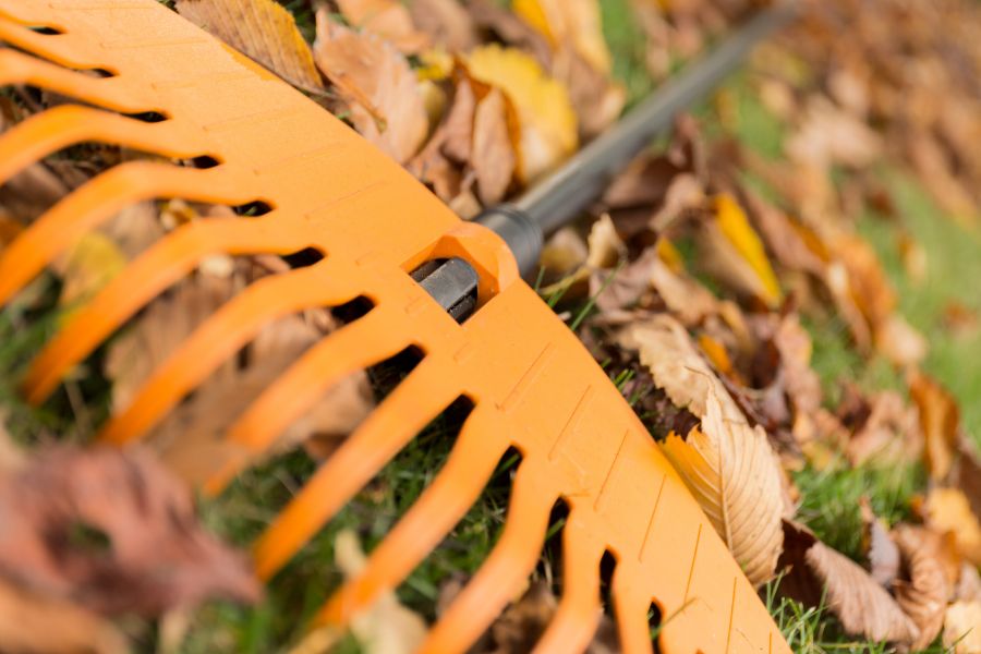 utiliser le rateau pour ramasser les feuilles mortes