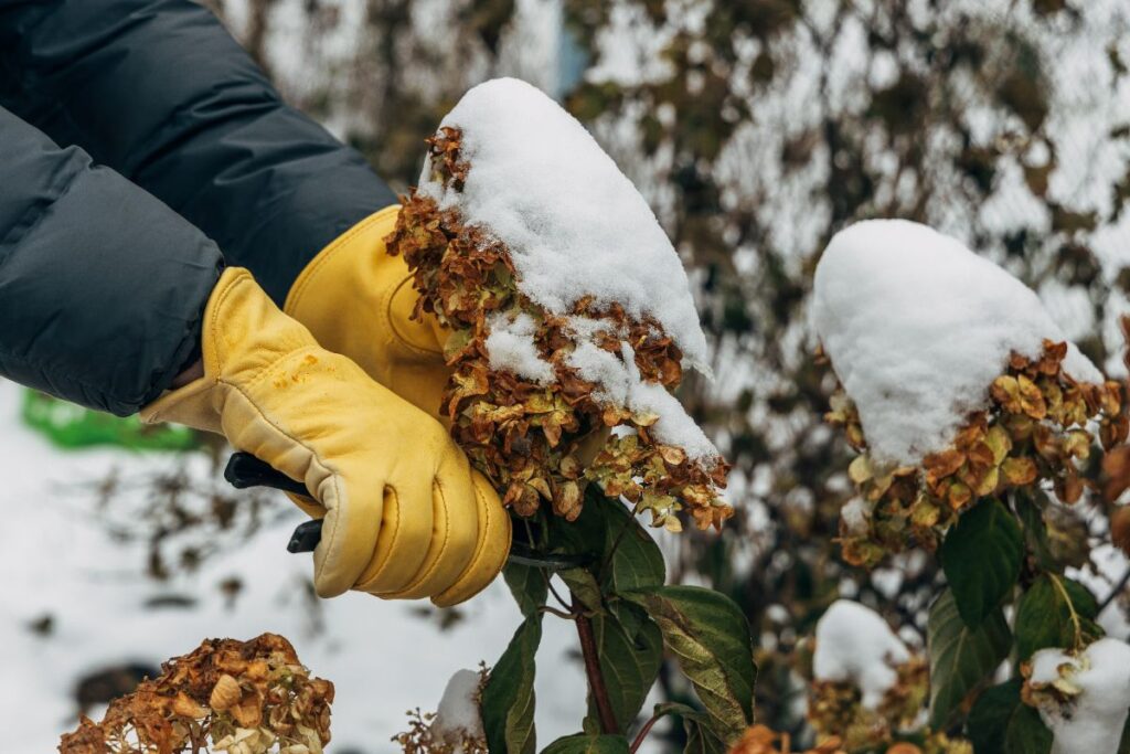 5 gestes pour du jardinage écolo en hiver