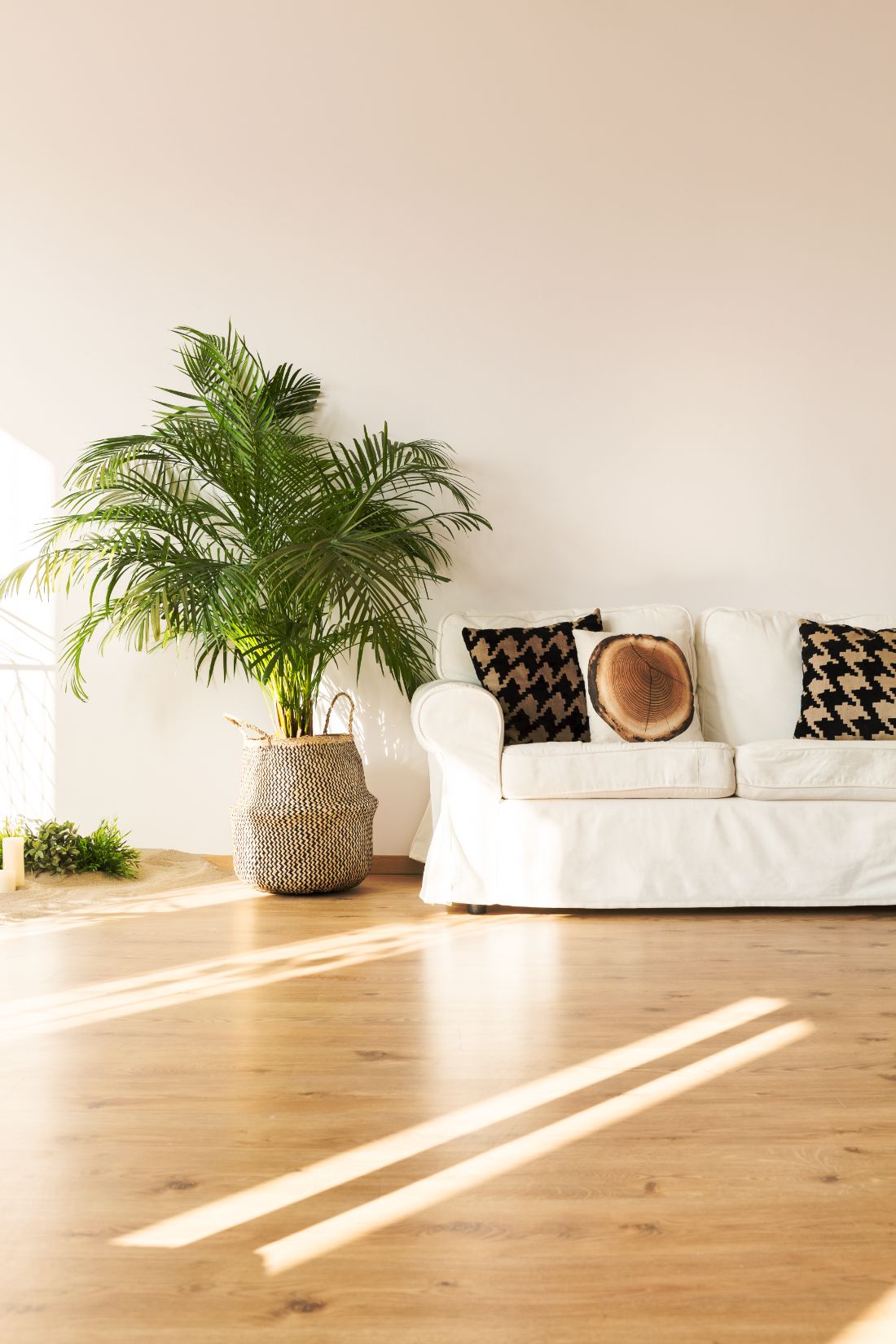 Des recettes naturelles pour un sol propre et parfumé cet hiver