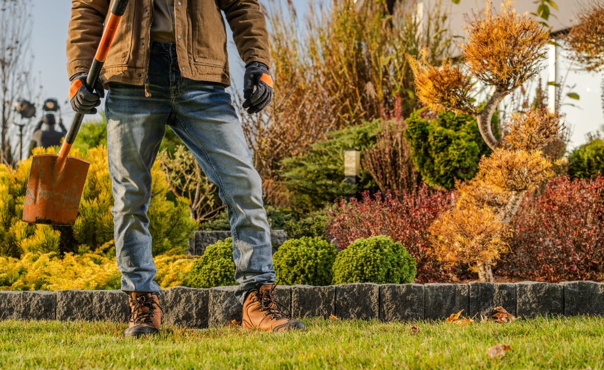 comment protéger les jeunes arbres au jardin avant l'hiver