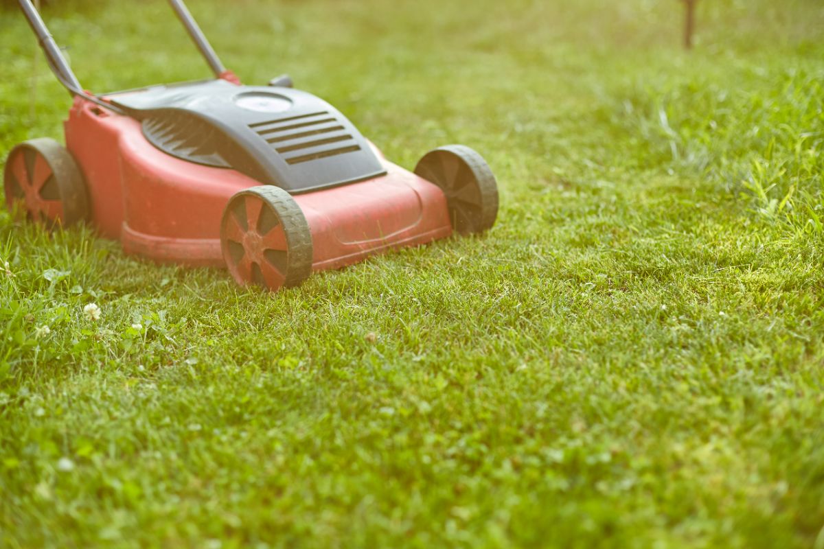 gestes préventifs à faire avant l'hiver pour protéger la pelouse