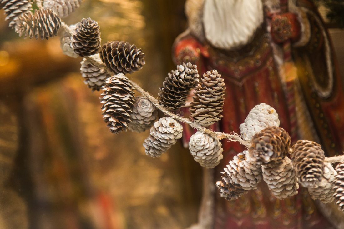 nettoyer les pommes de pin et leur donner une teinte claire en les trempant dans une solution d’eau de Javel